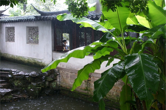 景觀設(shè)計之城市水濱景觀植物造景手法